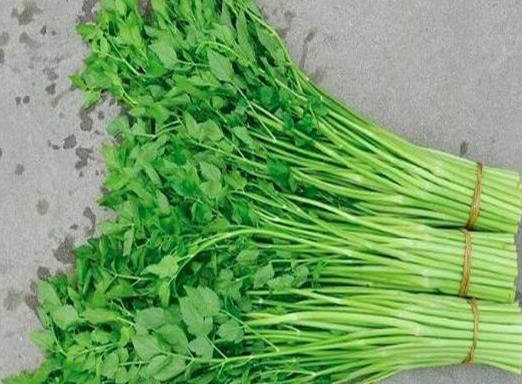 十大抗癌野菜排名,蕨菜清熱化痰、馬齒菜適合糖尿病患者