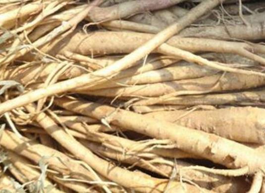 十大抗癌野菜排名,蕨菜清熱化痰、馬齒菜適合糖尿病患者