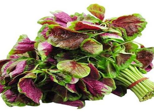 十大抗癌野菜排名,蕨菜清熱化痰、馬齒菜適合糖尿病患者