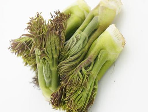 十大抗癌野菜排名,蕨菜清熱化痰、馬齒菜適合糖尿病患者