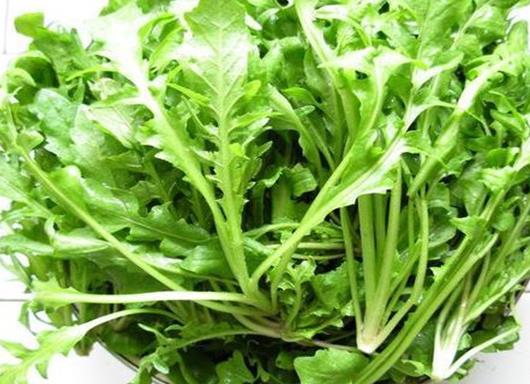 十大抗癌野菜排名,蕨菜清熱化痰、馬齒菜適合糖尿病患者