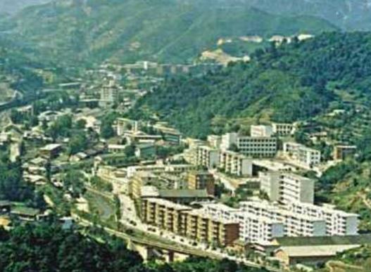 2021年貴州十大強鎮排行榜,茅臺鎮歷史悠久、南白鎮交通位置重要