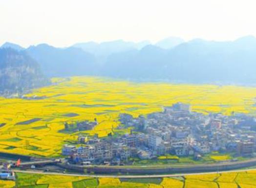 2021年貴州十大強鎮排行榜,茅臺鎮歷史悠久、南白鎮交通位置重要