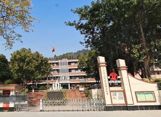 2021年廣東十大小學排行榜,深圳實驗學校小學部、深圳小學師資實力雄厚