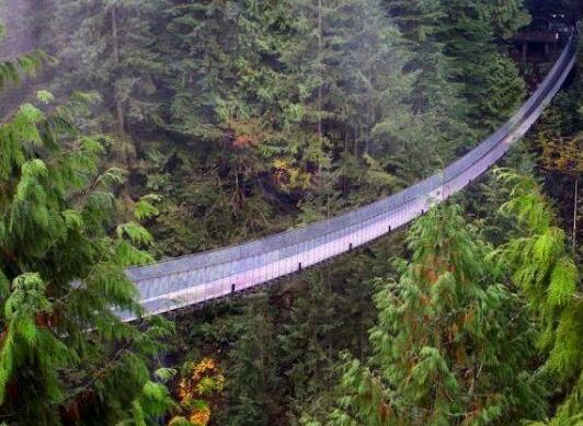 世界上最驚悚的十座橋梁排行榜,蘭卡威天空之橋、蓬特德大吊橋很驚險