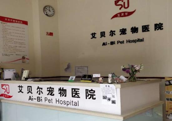 2021年中國十大寵物醫院排名,瑞鵬寵物醫院、瑞派寵物醫院很專業