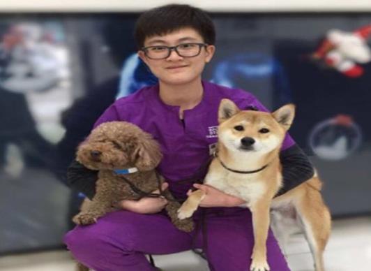 2021年中國十大寵物醫院排名,瑞鵬寵物醫院、瑞派寵物醫院很專業