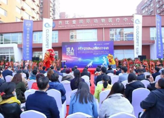 2021年中國十大寵物醫院排名,瑞鵬寵物醫院、瑞派寵物醫院很專業