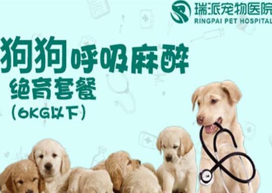 2021年中國十大寵物醫院排名,瑞鵬寵物醫院、瑞派寵物醫院很專業