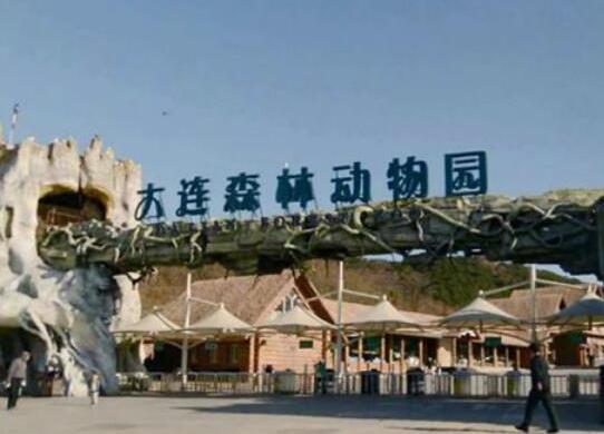 中國最受歡迎的十大動物園,北京動物園、廣州長隆野生動物世界很有名