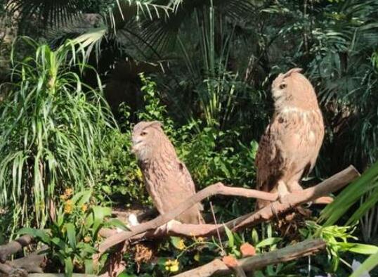 中國最受歡迎的十大動物園,北京動物園、廣州長隆野生動物世界很有名