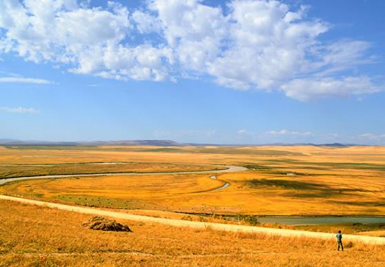 中國十大最美草原排名,呼倫貝爾草原、伊犁草原風光景色宜人