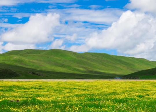中國十大最美草原排名,呼倫貝爾草原、伊犁草原風光景色宜人