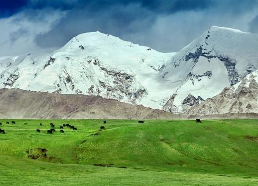 中國十大最美草原排名,呼倫貝爾草原、伊犁草原風光景色宜人