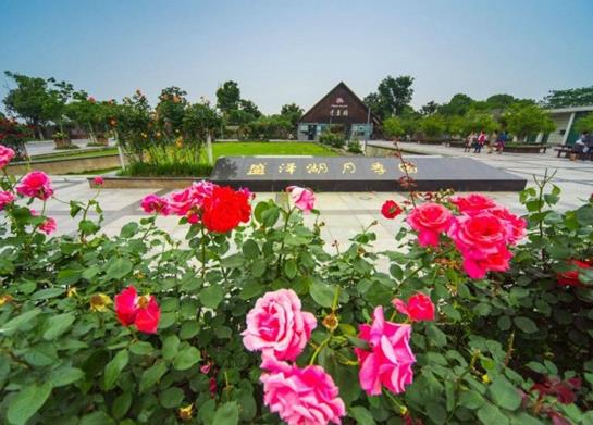 2021年蘇州十大主題公園排行榜,蘇州樂園森林世界觀賞和娛樂都很現代化