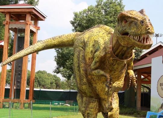 2021年蘇州十大主題公園排行榜,蘇州樂園森林世界觀賞和娛樂都很現代化