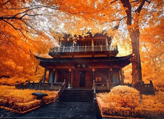 南京十大名山排行榜,棲霞山是六朝勝跡、紫金山森林的覆蓋率高