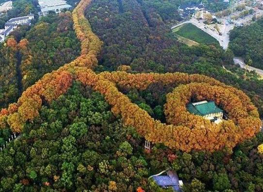 南京十大名山排行榜,棲霞山是六朝勝跡、紫金山森林的覆蓋率高