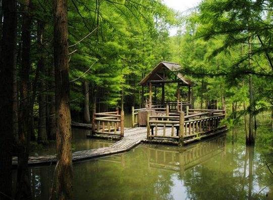 南京十大名山排行榜,棲霞山是六朝勝跡、紫金山森林的覆蓋率高