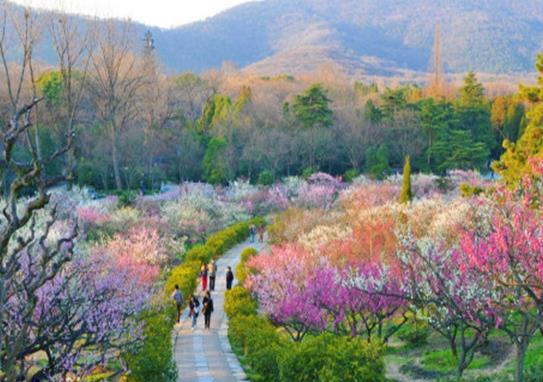 南京十大名山排行榜,棲霞山是六朝勝跡、紫金山森林的覆蓋率高
