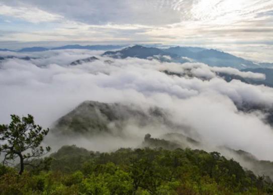 浙江十大高峰排行榜,黃茅尖海拔高、霧林山景色非常的秀麗