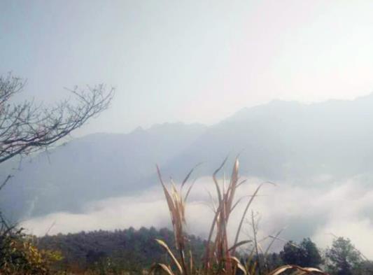 浙江十大高峰排行榜,黃茅尖海拔高、霧林山景色非常的秀麗