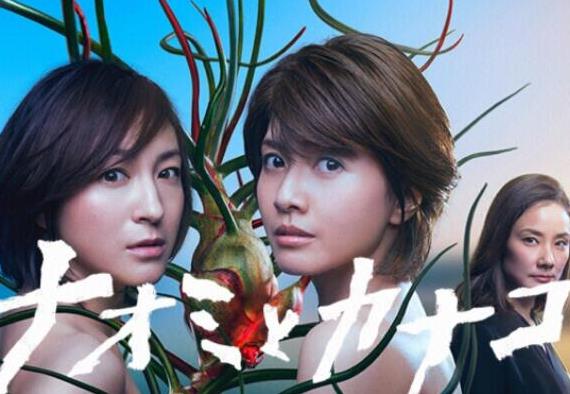 十大家暴題材電視劇排名,不要和陌生人說話、直美和加奈子深受關注