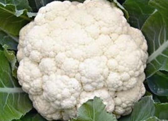 十大最佳抗氧化食物排名,山竹有熱帶“果后”之美稱、番茄低糖營養(yǎng)