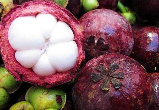 十大最佳抗氧化食物排名,山竹有熱帶“果后”之美稱、番茄低糖營養(yǎng)