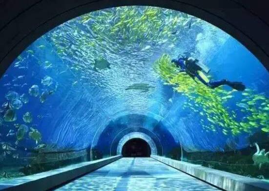 中國十大海洋館排行榜,廈門海底世界、亞龍灣海底世界吸引眾人向往