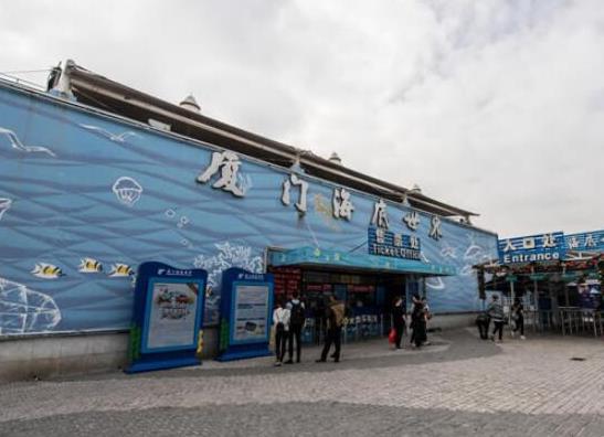 中國十大海洋館排行榜,廈門海底世界、亞龍灣海底世界吸引眾人向往