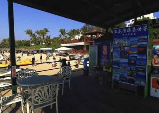 中國十大海洋館排行榜,廈門海底世界、亞龍灣海底世界吸引眾人向往