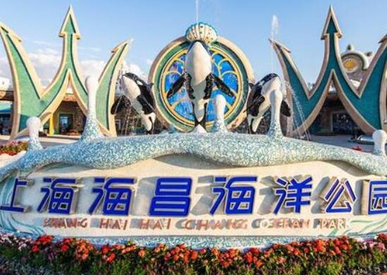 中國十大海洋館排行榜,廈門海底世界、亞龍灣海底世界吸引眾人向往