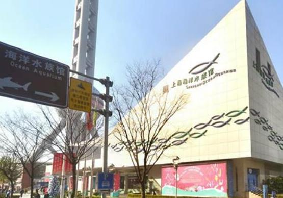 中國十大海洋館排行榜,廈門海底世界、亞龍灣海底世界吸引眾人向往