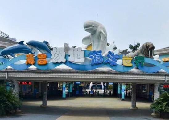 中國十大海洋館排行榜,廈門海底世界、亞龍灣海底世界吸引眾人向往