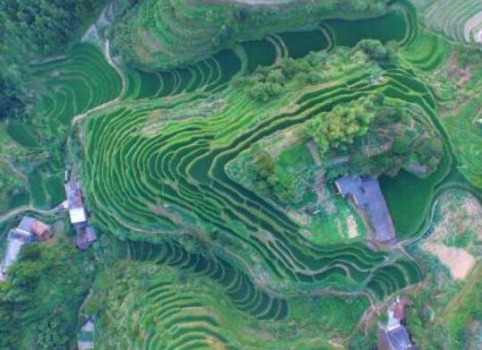 中國面積最大十大省份,新疆地處亞歐大陸腹地、西藏是世界屋脊