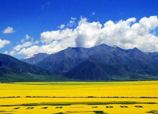 中國面積最大十大省份,新疆地處亞歐大陸腹地、西藏是世界屋脊