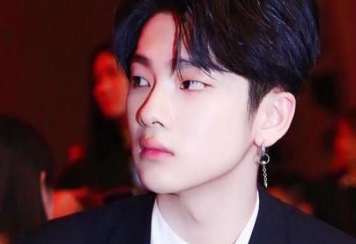 哇唧唧哇娛樂旗下藝人排行榜,肖戰非常熱門、彭楚粵是X玖少年團主唱