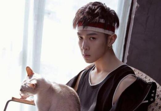 哇唧唧哇娛樂旗下藝人排行榜,肖戰非常熱門、彭楚粵是X玖少年團主唱