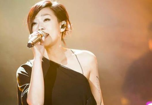 十大華人女歌手排行榜,王菲是實力派歌手、林憶蓮受人矚目