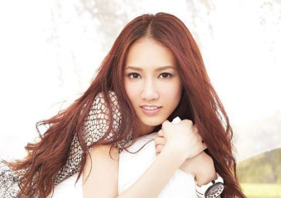 廣西十大歌手排行榜,梅艷芳非常有名、胡夏唱《那些年》一炮而紅