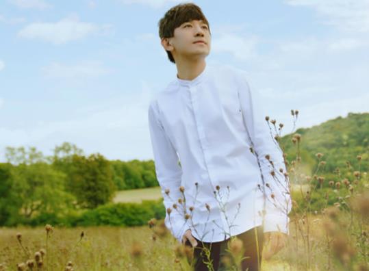 廣西十大歌手排行榜,梅艷芳非常有名、胡夏唱《那些年》一炮而紅