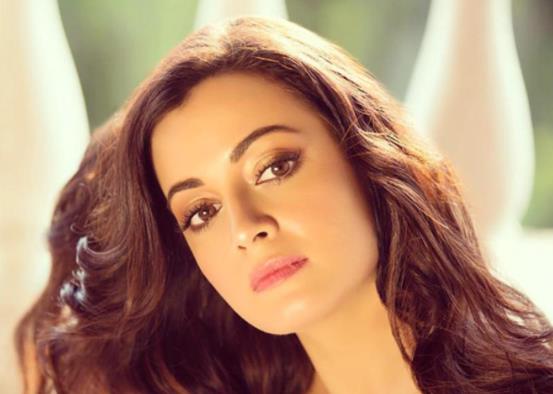 印度十大明星排行榜,阿米爾·汗演技很好、艾西瓦婭·雷知名度高