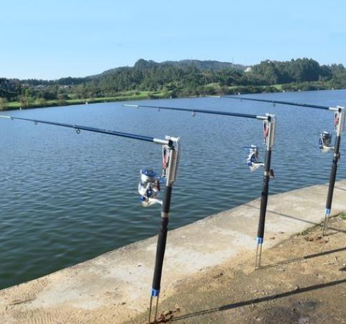 世界十大魚竿品牌排名,達(dá)億瓦贏得廣泛好評、禧瑪諾很知名