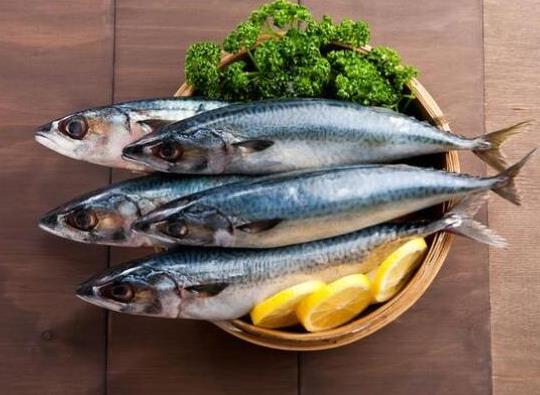 中國最常吃的十種淡水魚,草魚能開胃滋補、鯖魚魚肉堅實