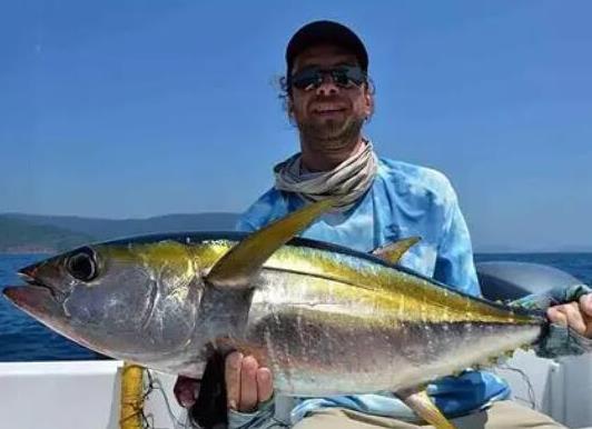 世界十大游速最快的魚,印度槍魚體內脂肪含量高、旗魚生性勇猛