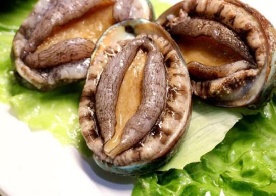 廣東十大河鮮排行榜,鮑魚蛋白質含量高、象拔蚌肉質鮮美
