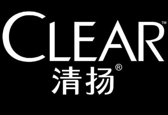 洗發水十大品牌排行榜,海飛絲洗發水、沙宣洗發水還你健康頭皮