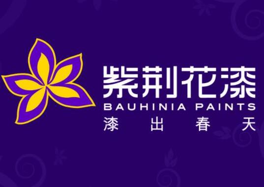 十大油漆品牌排行榜,多樂士油漆、立邦油漆品種琳瑯滿目