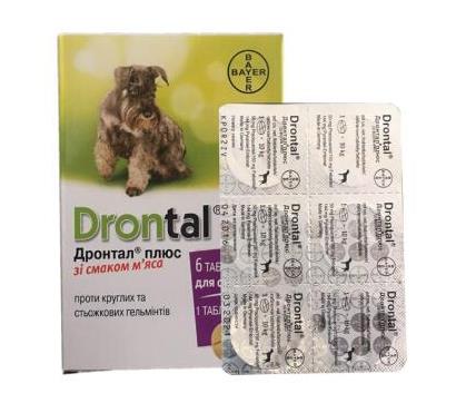 2021貓狗驅(qū)蟲藥品牌排行榜,福來恩驅(qū)蟲藥、拜耳驅(qū)蟲藥口碑好值得信賴